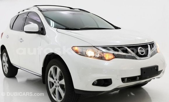 Imported Nissan Murano White Makiinaa iti Import - Dubai keessatti Central Kenya keessatti Imported Nissan Murano White Makiinaa iti Import - Dubai keessatti Central Kenya keessatti