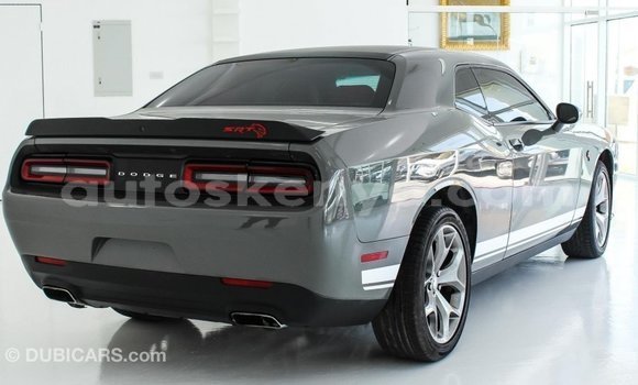 Nunua Imported Dodge Challenger Nyingine Gari ndani ya Import - Dubai nchini Kati Kenya Nunua Imported Dodge Challenger Nyingine Gari ndani ya Import - Dubai nchini Kati Kenya