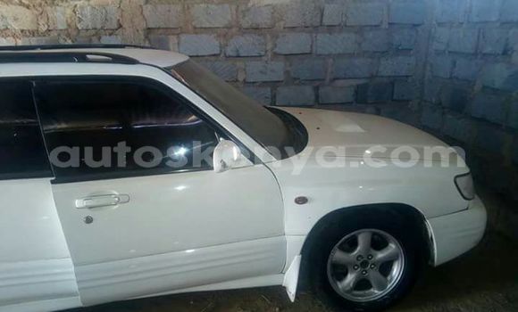 Oofamaa Subaru Forester White Makiinaa iti Nairobi keessatti Nairobi keessatti Oofamaa Subaru Forester White Makiinaa iti Nairobi keessatti Nairobi keessatti