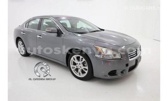 Buy Import Nissan Maxima Other Car in Import - Dubai in Central Kenya Buy Import Nissan Maxima Other Car in Import - Dubai in Central Kenya