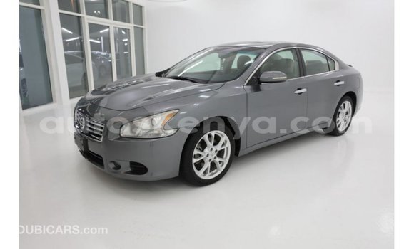 Buy Import Nissan Maxima Other Car in Import - Dubai in Central Kenya Buy Import Nissan Maxima Other Car in Import - Dubai in Central Kenya