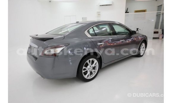 Buy Import Nissan Maxima Other Car in Import - Dubai in Central Kenya Buy Import Nissan Maxima Other Car in Import - Dubai in Central Kenya
