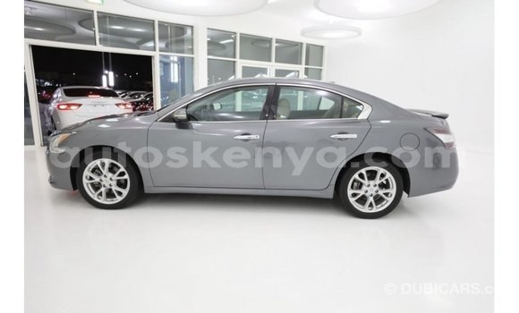 Buy Import Nissan Maxima Other Car in Import - Dubai in Central Kenya Buy Import Nissan Maxima Other Car in Import - Dubai in Central Kenya