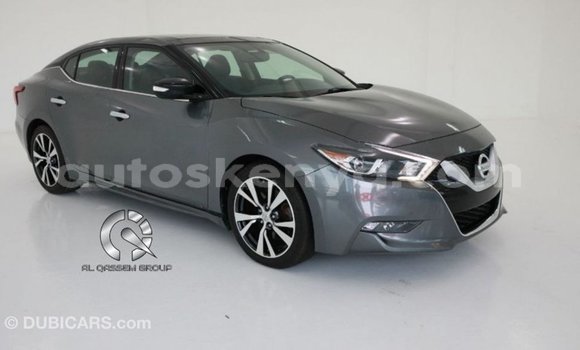 Buy Import Nissan Maxima Other Car in Import - Dubai in Central Kenya Buy Import Nissan Maxima Other Car in Import - Dubai in Central Kenya