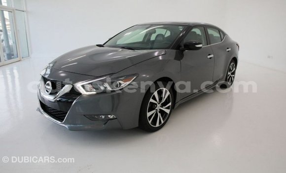 Buy Import Nissan Maxima Other Car in Import - Dubai in Central Kenya Buy Import Nissan Maxima Other Car in Import - Dubai in Central Kenya