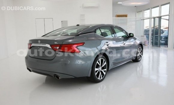 Buy Import Nissan Maxima Other Car in Import - Dubai in Central Kenya Buy Import Nissan Maxima Other Car in Import - Dubai in Central Kenya