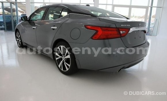 Buy Import Nissan Maxima Other Car in Import - Dubai in Central Kenya Buy Import Nissan Maxima Other Car in Import - Dubai in Central Kenya
