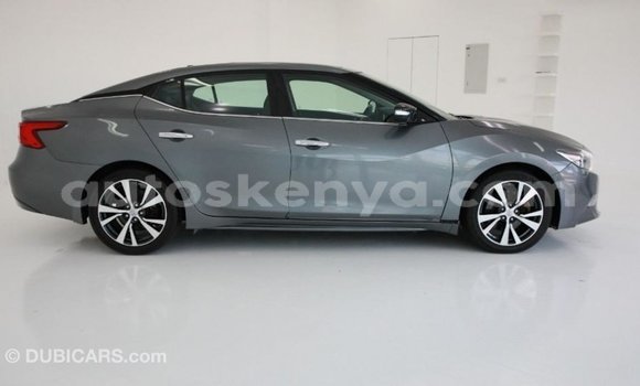 Buy Import Nissan Maxima Other Car in Import - Dubai in Central Kenya Buy Import Nissan Maxima Other Car in Import - Dubai in Central Kenya