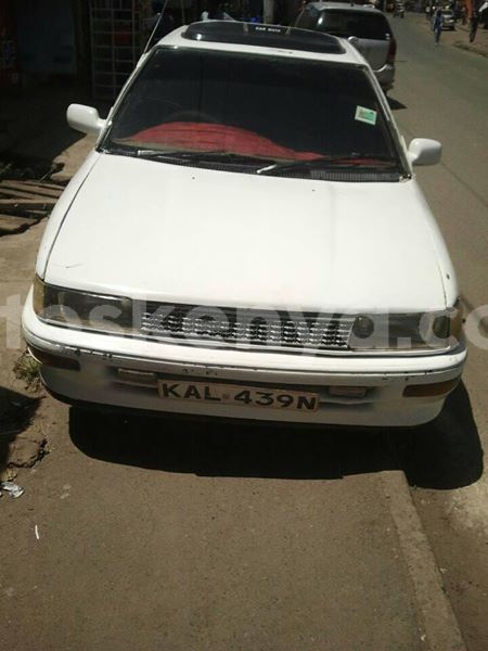 Big with watermark t5