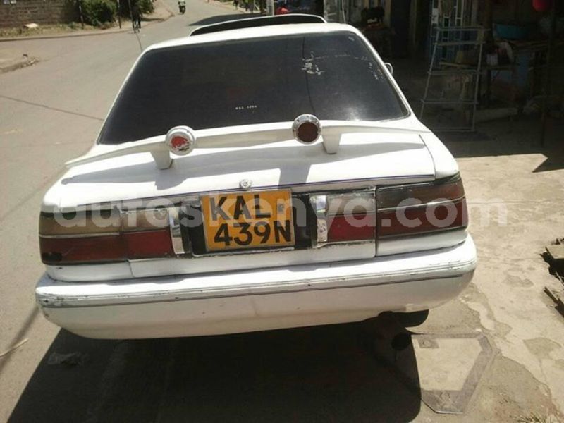 Big with watermark t1