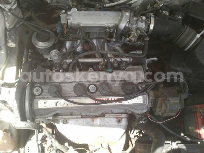 Big with watermark t2