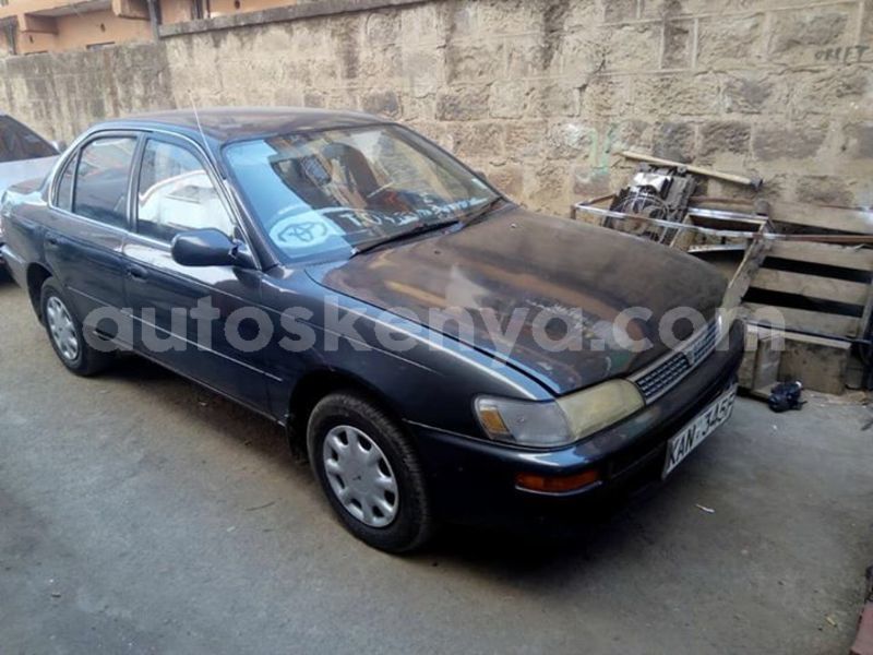 Big with watermark t3