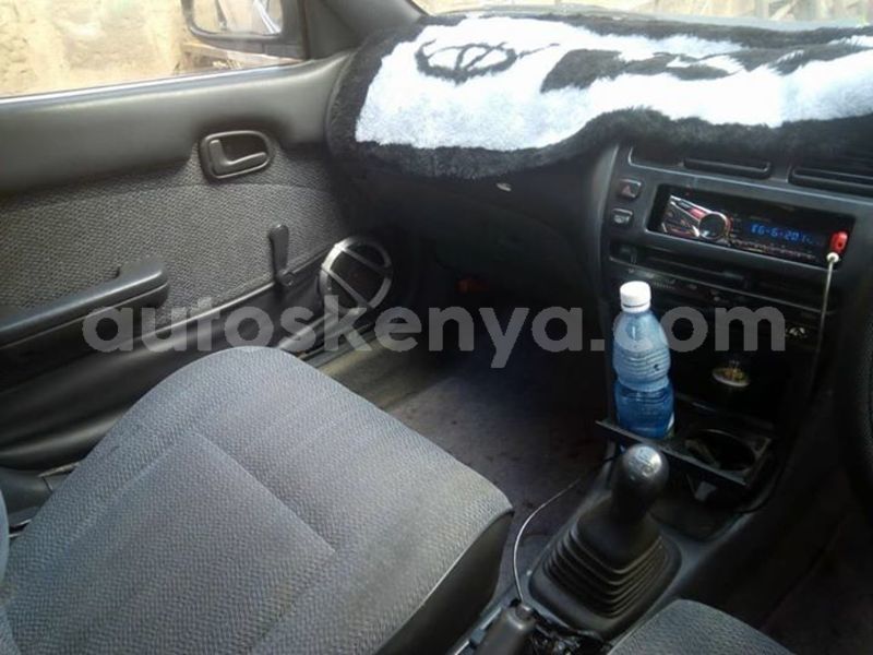 Big with watermark t2