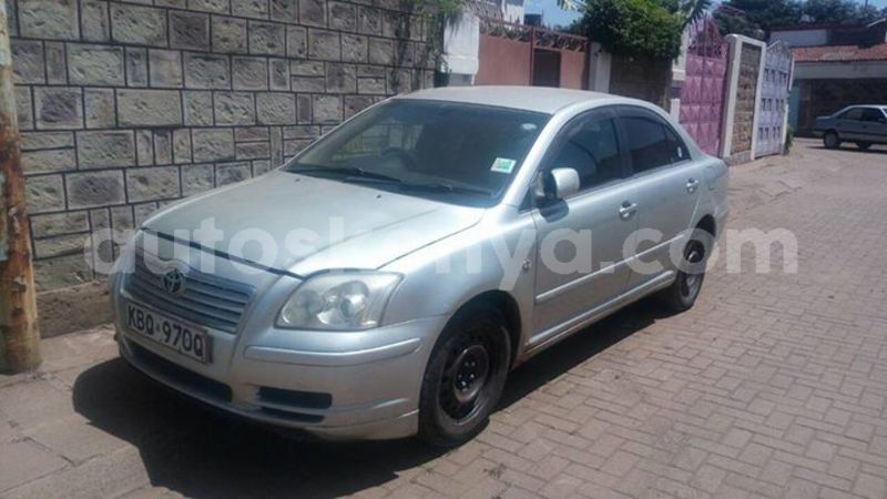 Big with watermark a1