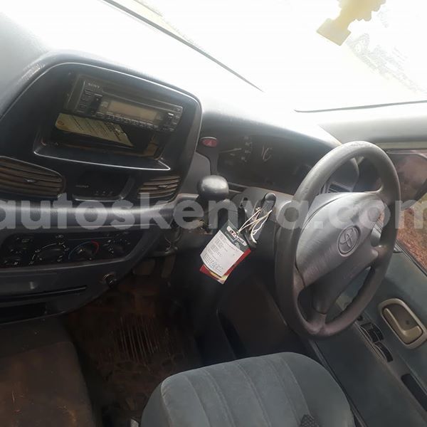 Big with watermark n1