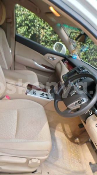 Big with watermark c6