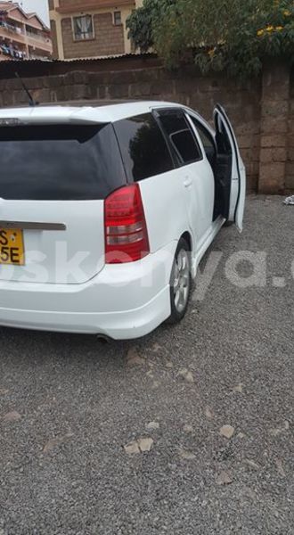 Big with watermark w3