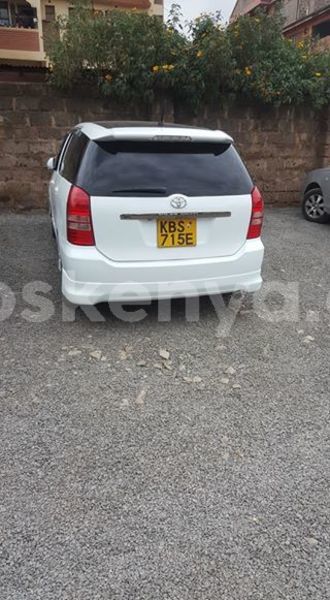 Big with watermark w4