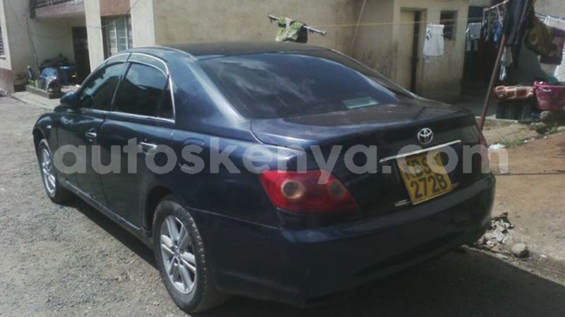 Big with watermark 30629329 194112211393369 244064733525704704 n