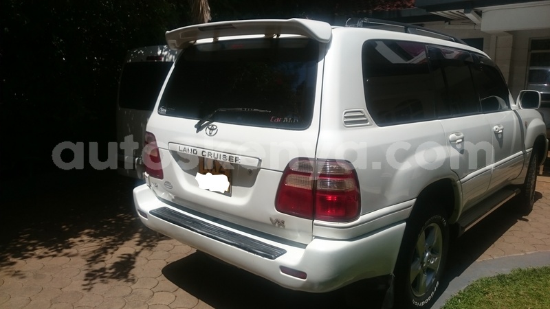 Big with watermark dsc 0817 ink li