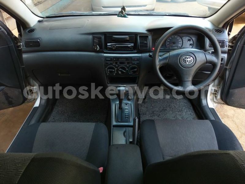 Big with watermark 30705011 1080215435450894 1812932972978896896 n