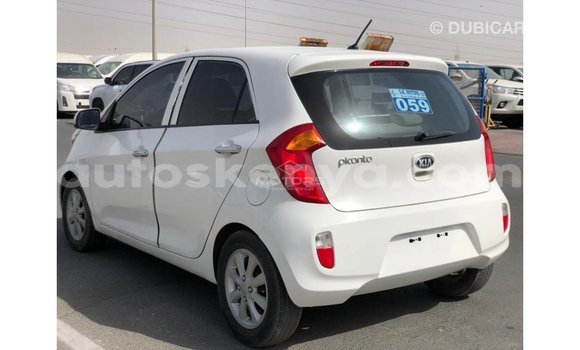 Nunua Imported Kia Picanto Nyeupe Gari ndani ya Import - Dubai nchini Kati Kenya Nunua Imported Kia Picanto Nyeupe Gari ndani ya Import - Dubai nchini Kati Kenya