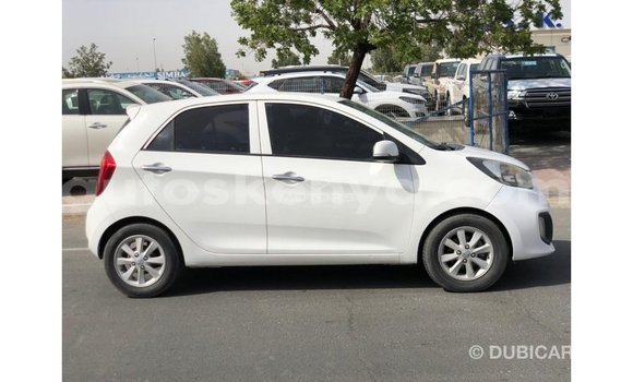 Nunua Imported Kia Picanto Nyeupe Gari ndani ya Import - Dubai nchini Kati Kenya Nunua Imported Kia Picanto Nyeupe Gari ndani ya Import - Dubai nchini Kati Kenya