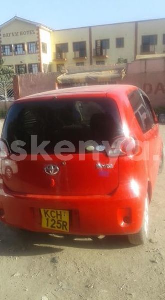 Big with watermark 27654678 10214020316329433 3082351641622008131 n