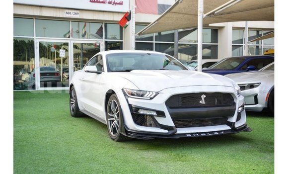 Nunua Imported Ford Mustang Nyeupe Gari ndani ya Import - Dubai nchini Kati Kenya Nunua Imported Ford Mustang Nyeupe Gari ndani ya Import - Dubai nchini Kati Kenya