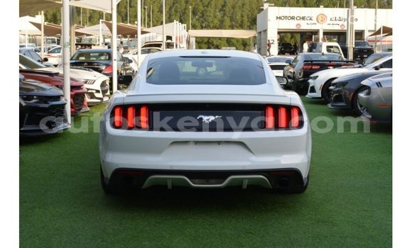 Nunua Imported Ford Mustang Nyeupe Gari ndani ya Import - Dubai nchini Kati Kenya Nunua Imported Ford Mustang Nyeupe Gari ndani ya Import - Dubai nchini Kati Kenya