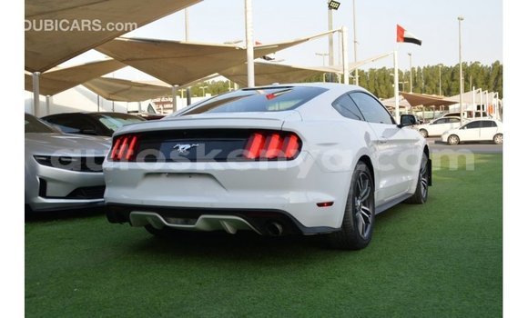 Nunua Imported Ford Mustang Nyeupe Gari ndani ya Import - Dubai nchini Kati Kenya Nunua Imported Ford Mustang Nyeupe Gari ndani ya Import - Dubai nchini Kati Kenya