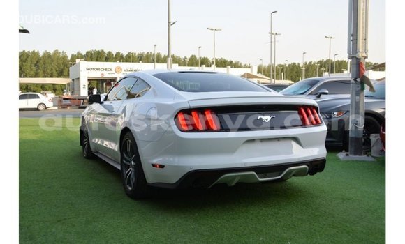 Nunua Imported Ford Mustang Nyeupe Gari ndani ya Import - Dubai nchini Kati Kenya Nunua Imported Ford Mustang Nyeupe Gari ndani ya Import - Dubai nchini Kati Kenya