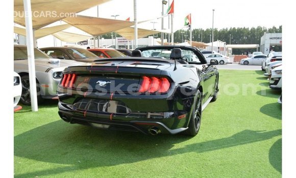 Imported Ford Mustang Black Makiinaa iti Import - Dubai keessatti Central Kenya keessatti Imported Ford Mustang Black Makiinaa iti Import - Dubai keessatti Central Kenya keessatti