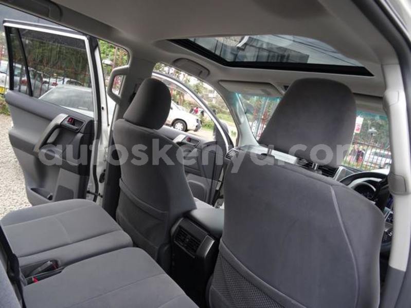 Big with watermark 36333482 2199919890022963 991924015566159872 n