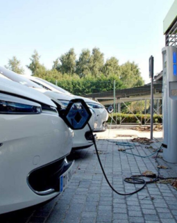 Thumb screenshot 2025 11 13 124138