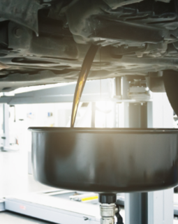 Thumb screenshot 2026 04 10 024734